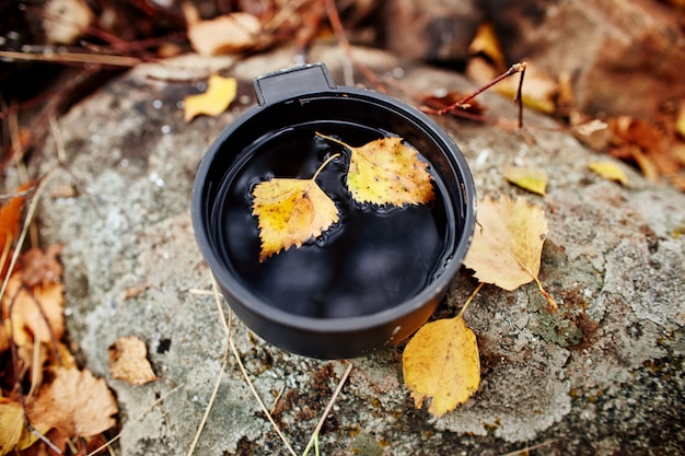 Becher heißer Tee Herbst im Wald im gelben Laub