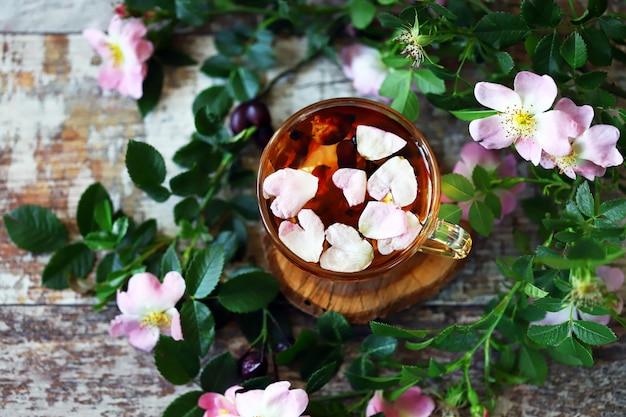 Becher mit Hagebutten-Tee. Hagebuttenzweige. Hagebuttenblumen. Hagebuttenblütenblätter. Gesundes Heilgetränk. Sommerstillleben.