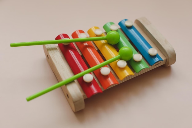 Becken für Kinder, umweltfreundliches, farbiges Lernspielzeug aus Holz nach der Montessori-Methode