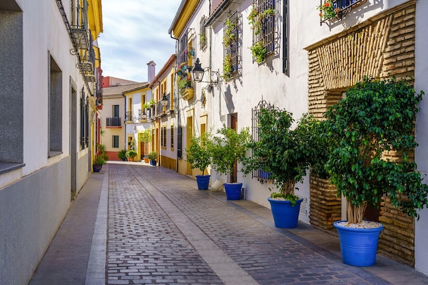 Beco com casas típicas da Andaluzia e vasos com flores e plantas. CÃ³rdobas, Espanha.