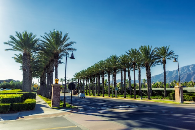Beco de palmeiras nas ruas de Ontário, Califórnia