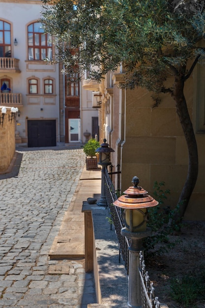 Beco estreito na cidade velha com casas de pedra ferro forjado e arbustos verdes Baku Azerbaijão