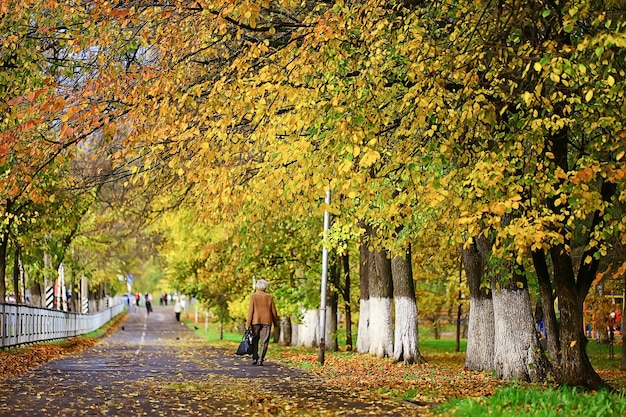 beco na paisagem do parque no outono, paisagem sazonal da estrada amarela do outono em outubro na cidade