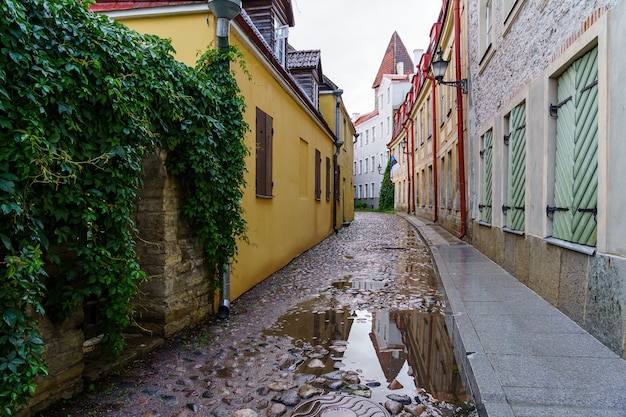 Beco pavimentado com poças após chover em tallinn, estônia.