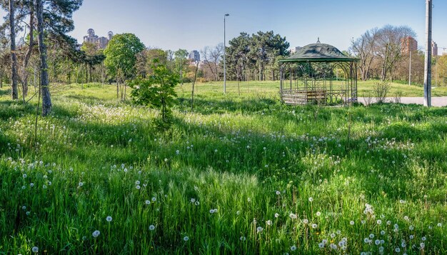 Becos e gazebo no parque Victory em Odessa Ucrânia