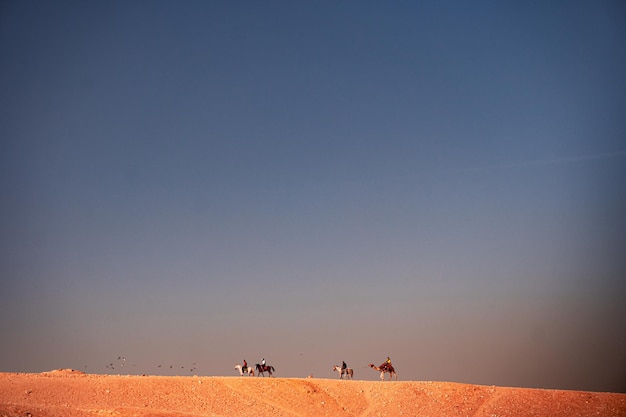 Beduinen-Ägypter wandern mit Kamelen durch die Wüste.