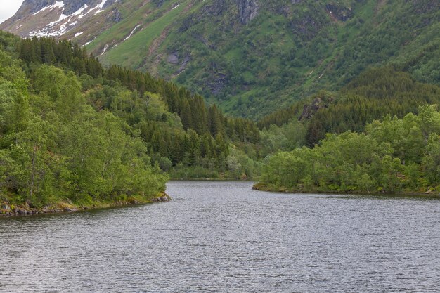 Beeindruckende Sommeransicht des Fjords in Norwegen. Bunte Morgenszene in Norwegen