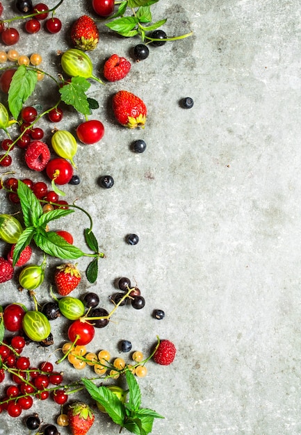 Beeren mit Minzblättern auf Steinhintergrund.