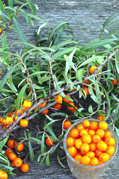 Beeren und Blätter des Sanddorns auf einem hölzernen Hintergrund. Die Ernte von Sanddorn.