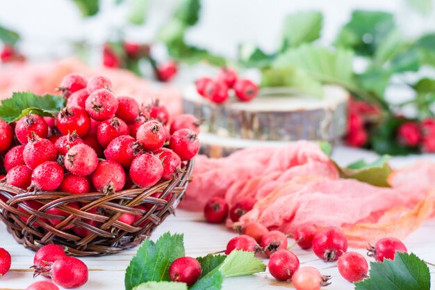 Beeren und Blätter von Weißdorn in einem Weidenkorb auf einem Holztisch