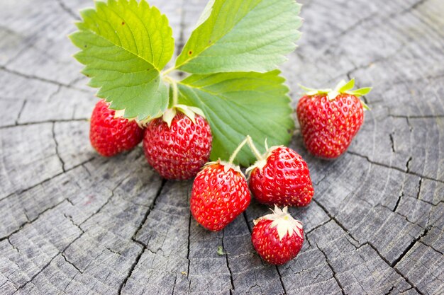 Beeren von roten, reifen und saftigen Erdbeeren.