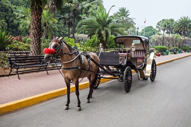 Beförderung in Intramuros