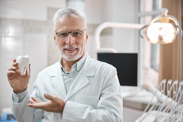 Begeisterter älterer Zahnarzt, der ein großes weißes Zahnmodell lächelt und hält, während er in die Kamera schaut