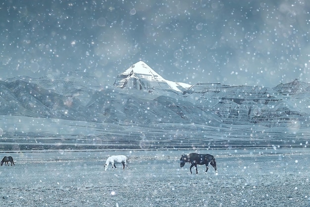 Beginn des Winters in den Bergen