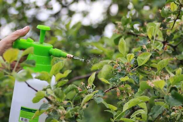 Behandlung von Pflanzen aus Insekten