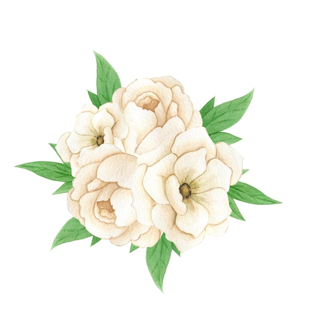 Beige Hochzeitsblumenstrauß der Aquarellillustration