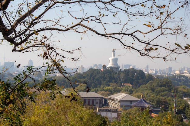 Beihai-Parklandschaft am Ende des Sommers in Peking, China Hintergrund mit Kopierraum für Text