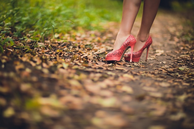 Beine in Lederstiefeln auf Herbstlaub. Fußschuhe in der Natur spazieren