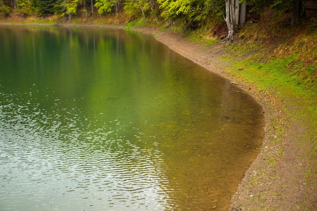 Beira-mar do lago claro com reflexo da floresta cercada pela natureza do verão