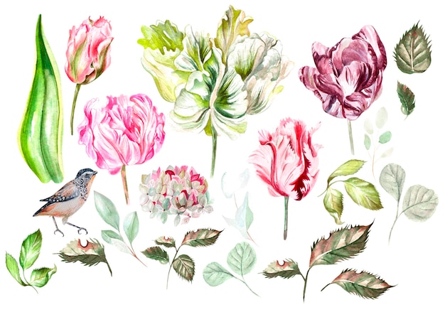 Bela aquarela com folhas de flores de tulipa hudrangea e pássaros