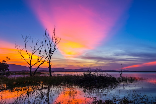 Bela árvore dentro do Bang Phra Reservoir no nascer do sol, Sriracha, Chonburi, Tailândia