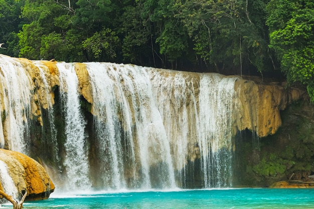 Bela cachoeira Agua Azul em Chiapas, México.