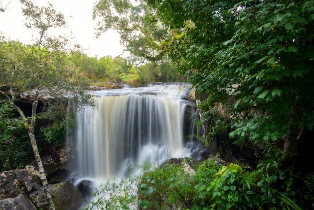 Bela cachoeira da floresta na selva na floresta tropical