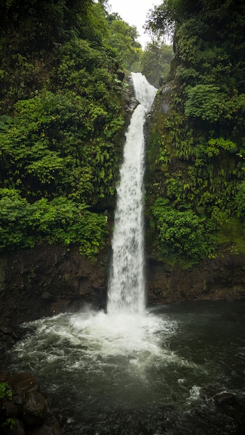 Foto bela cachoeira do meio da exuberante floresta verde costa rica