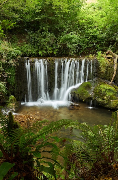 Foto bela cachoeira em uma floresta na galiza, espanha, conhecida pelo nome de san pedro de incio.