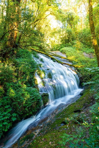 bela cachoeira Lan Sa Ded na trilha natural Kew Mae Pan em Doi Inthanon, Chiang Mai, Tailândia