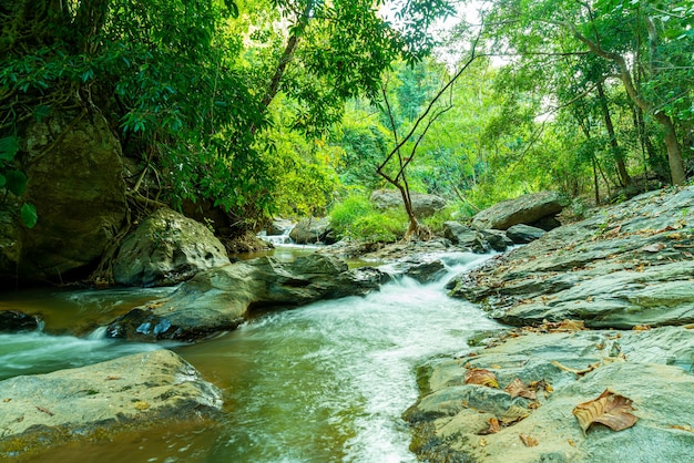 bela cachoeira Mae Sa em Chiang Mai, Tailândia