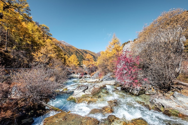 Bela cachoeira na floresta de outono com céu azul