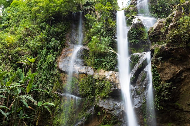 Bela cachoeira na floresta tropical Mok Fa Waterfell Changmai Tailândia