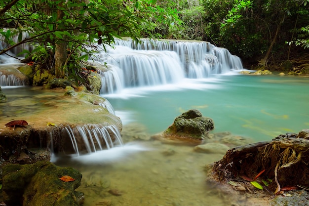 Bela cachoeira na floresta tropical profunda