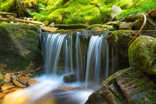 Bela cachoeira na floresta verde. cascata de água em movimento