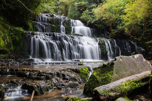 Bela cachoeira na floresta verde, Nova Zelândia