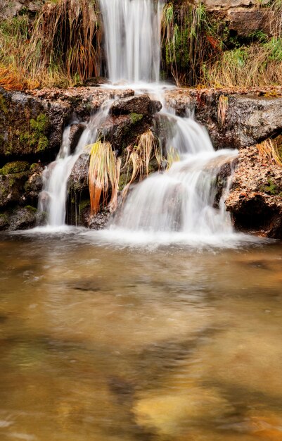 Bela cachoeira na floresta