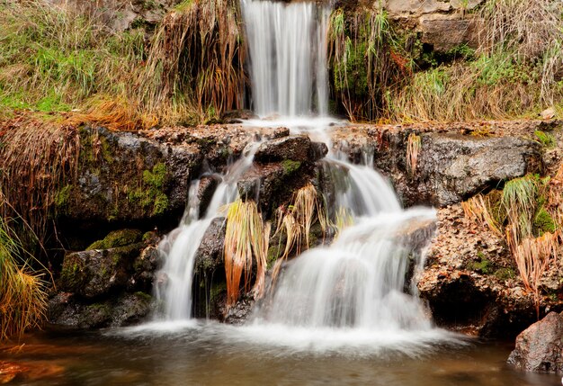 Bela cachoeira na floresta