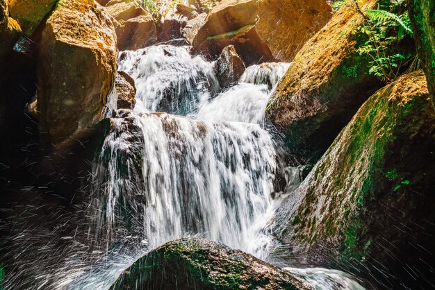 Bela cachoeira na selva