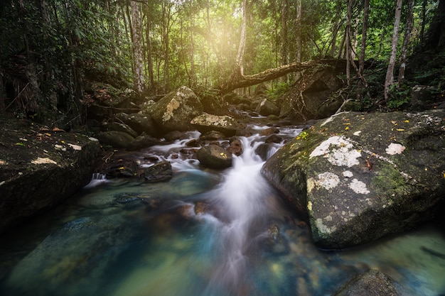 Foto bela cachoeira no outono floresta do fluxo no parque natural