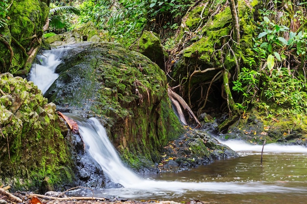 Foto bela cachoeira tropical no havaí