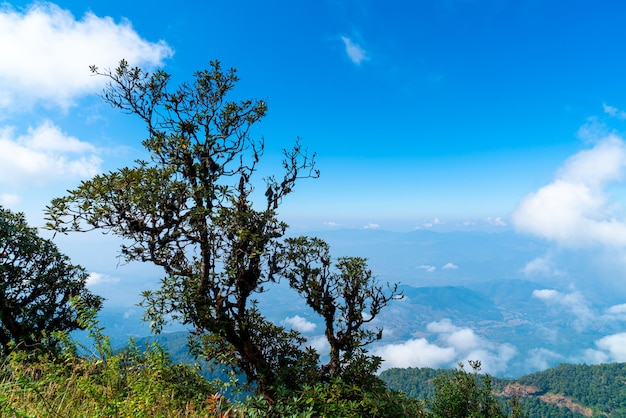 Bela camada de montanha com nuvens e céu azul na trilha natural de kew mae pan em chiang mai, tailândia