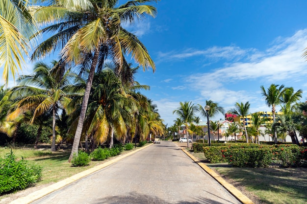 Bela casa entre palmeiras em uma ilha tropical no sul. Casa luxuosa vista através de árvores e jardim.