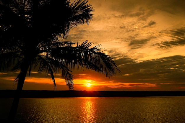 Foto bela cena do pôr do sol com a silhueta da palma