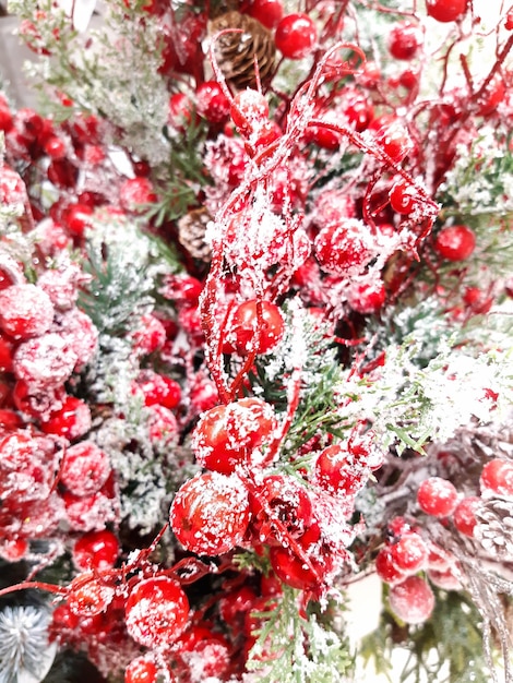Bela composição decorativa de Natal e Feliz Ano Novo de galho de pinheiro, pinhas e bagas de viburno vermelho na neve. Fundo de celebração brilhante