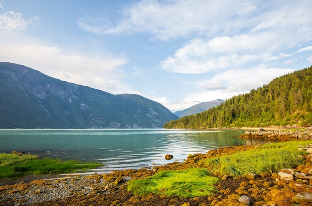 Bela costa ao pôr do sol em bella coola, canadá