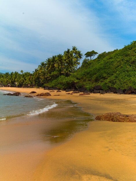 Bela costa do mar em Goa Índia