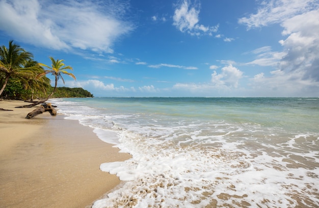 Bela costa tropical do Oceano Pacífico na Costa Rica