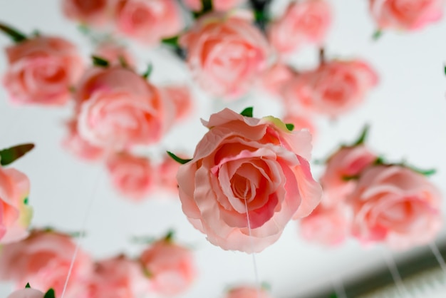 Bela decoração de velas e flores. tons de rosa branco.