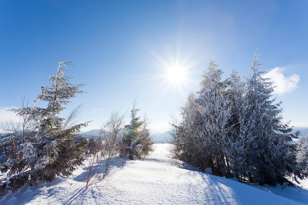 Bela encosta coberta de neve com abetos cobertos de neve fica contra o céu azul em um dia ensolarado de inverno O conceito de bela natureza intocada no país do norte